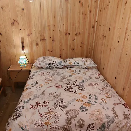 Ilia Homestay